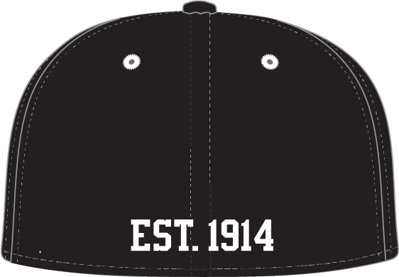 Baseball Cap (Black)