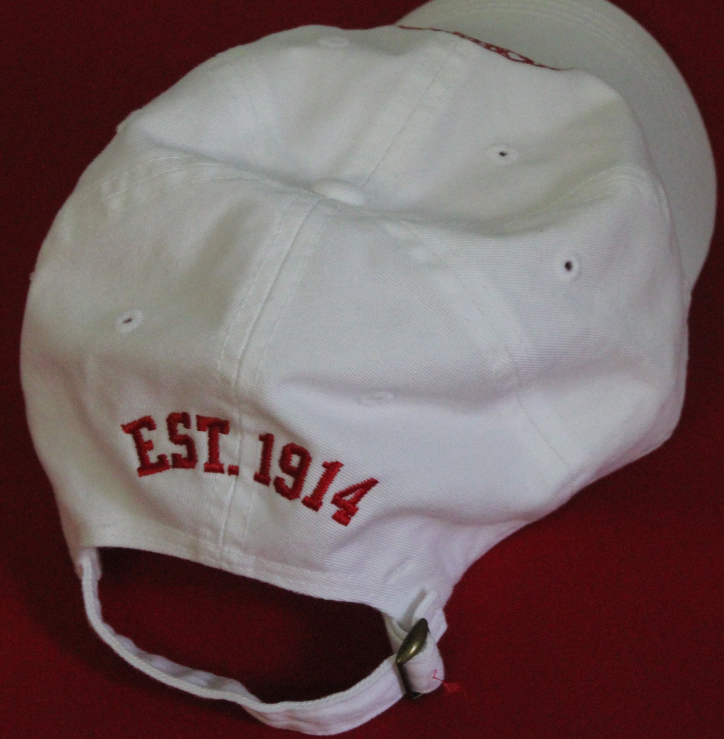 Baseball Cap (White with Seal)